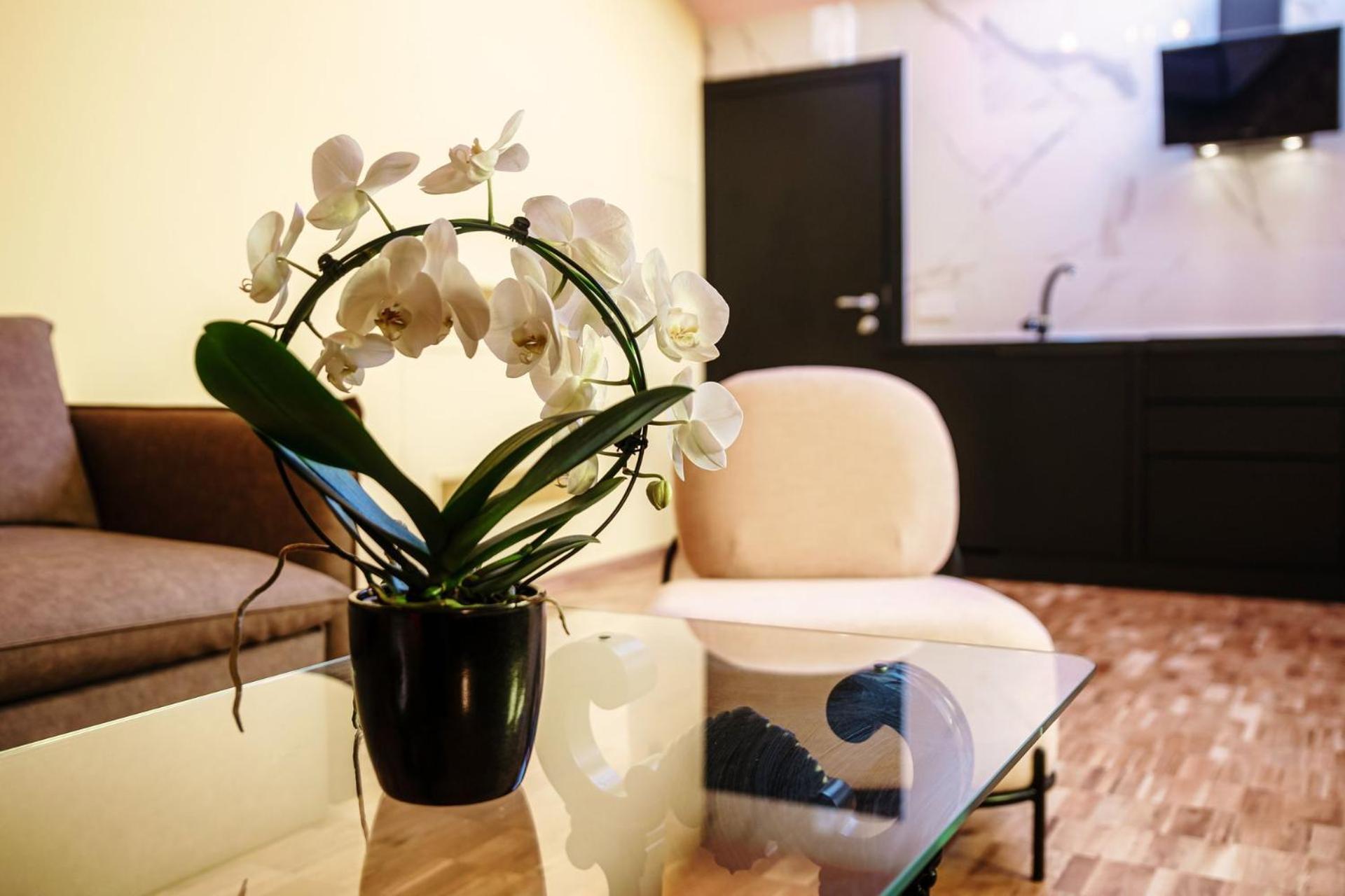 Aurum - Como Luxury Suites 객실 사진